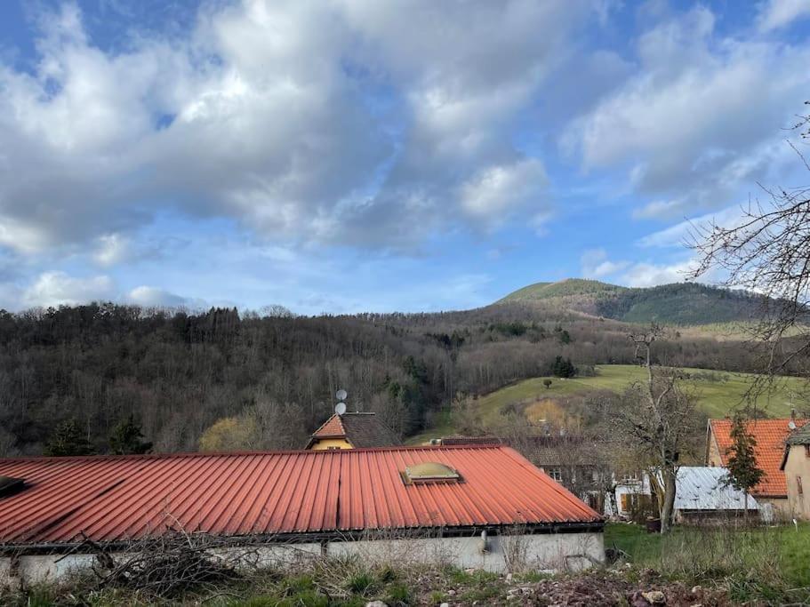 Willa Hohwarth - Le Contemporain - Logement 6 Personnes Saint-Pierre-Bois Zewnętrze zdjęcie